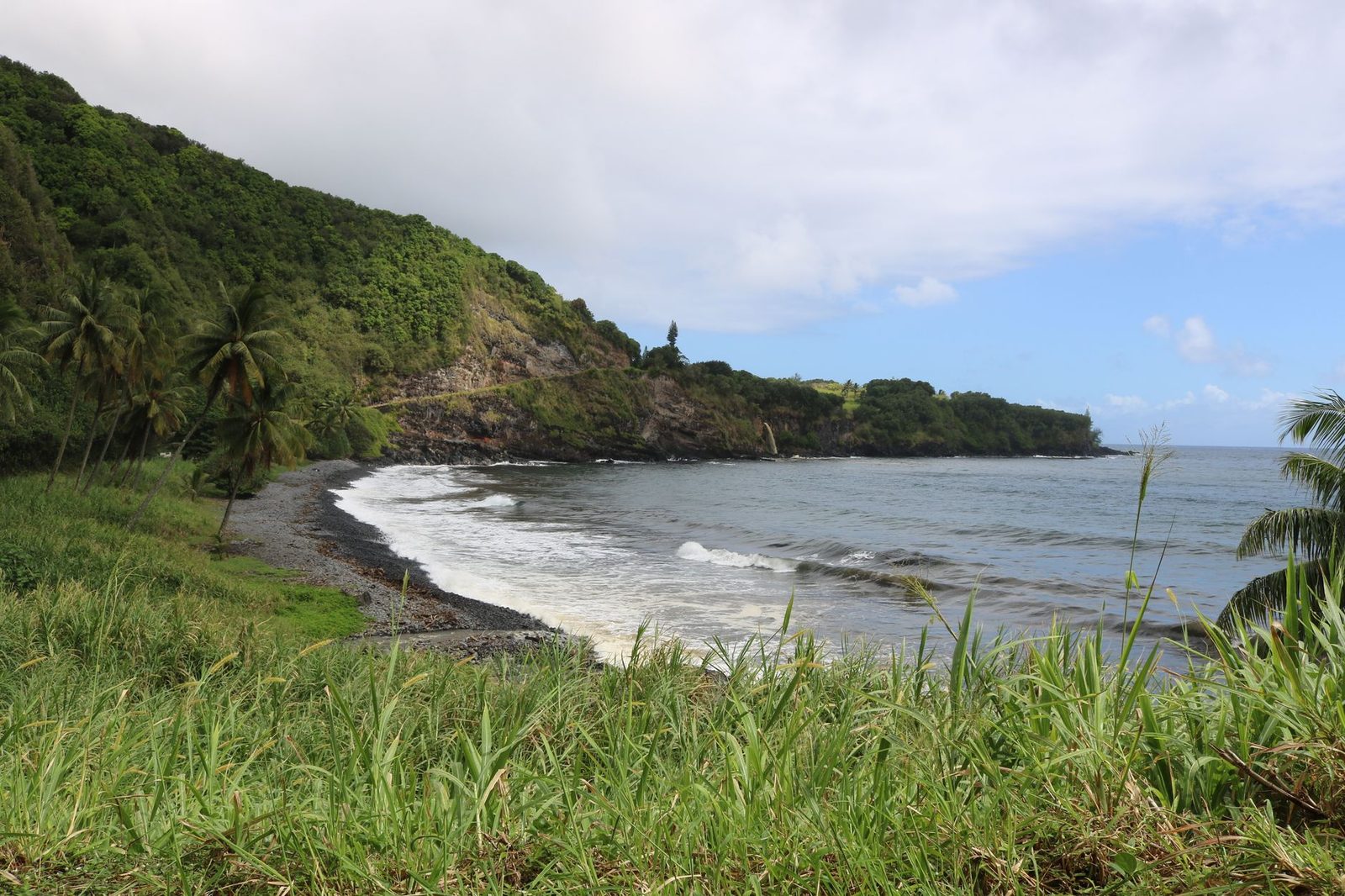 Waves breaking on a Hawaiian shoreline backed by dense green vegetation